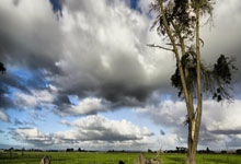 杜海勒足球俱乐部是怎样的一支球队？