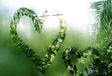 卡塔尔对阵伊朗，这场西亚足球对决有哪些看点？