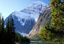 2024全国女排冠军赛最新战况如何？各队争冠有哪些看点？